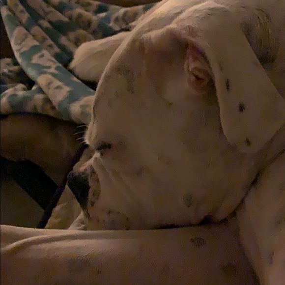 Meet your Posher, Melinda - Picture 1 of 1